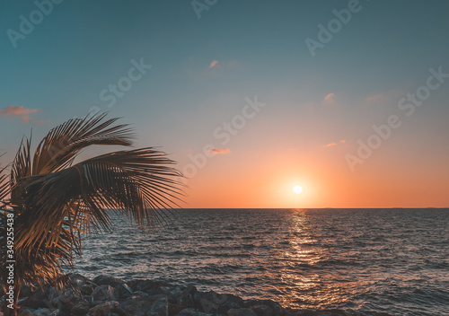Extremely beautiful sunset above the sea with palm tree on the stone beach in vintage tone
