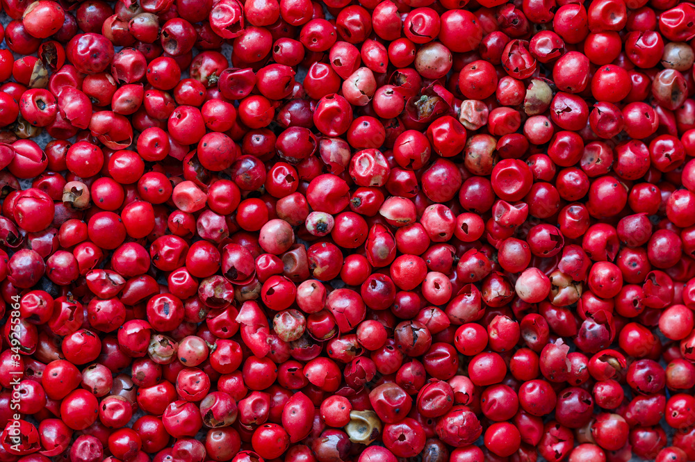Pink Organic dried Peppercorns on light concrete or stone background close-up. Pepper. Spices and seasonings. Selective focus, top view