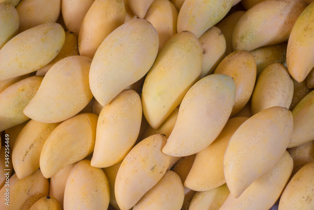close up shot of Thai ripe barracuda mangoes. close up shot of Thai ripe barracuda mangoes.