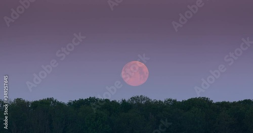 Timelapse footage of a red May supermoon setting behind a forest with morning fog.