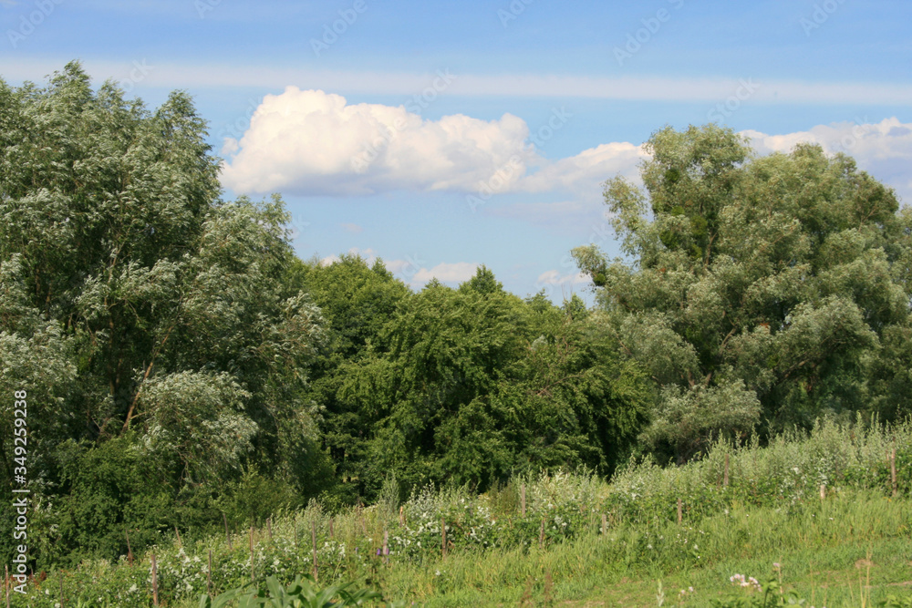 Cloud Cloud