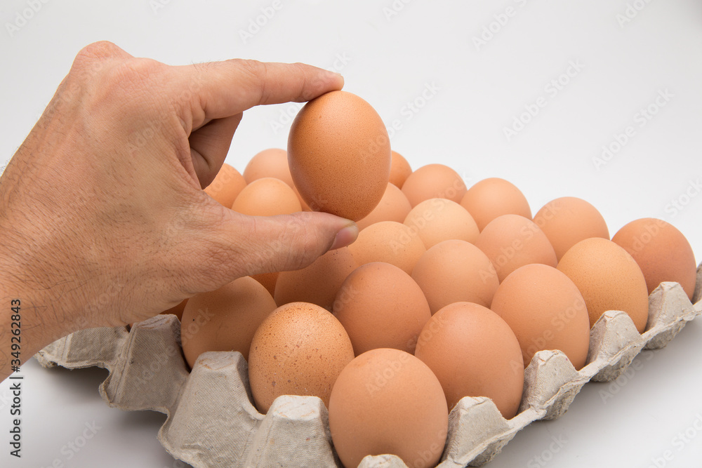 Single brown chicken egg isolated on white Single brown chicken egg isolated on white