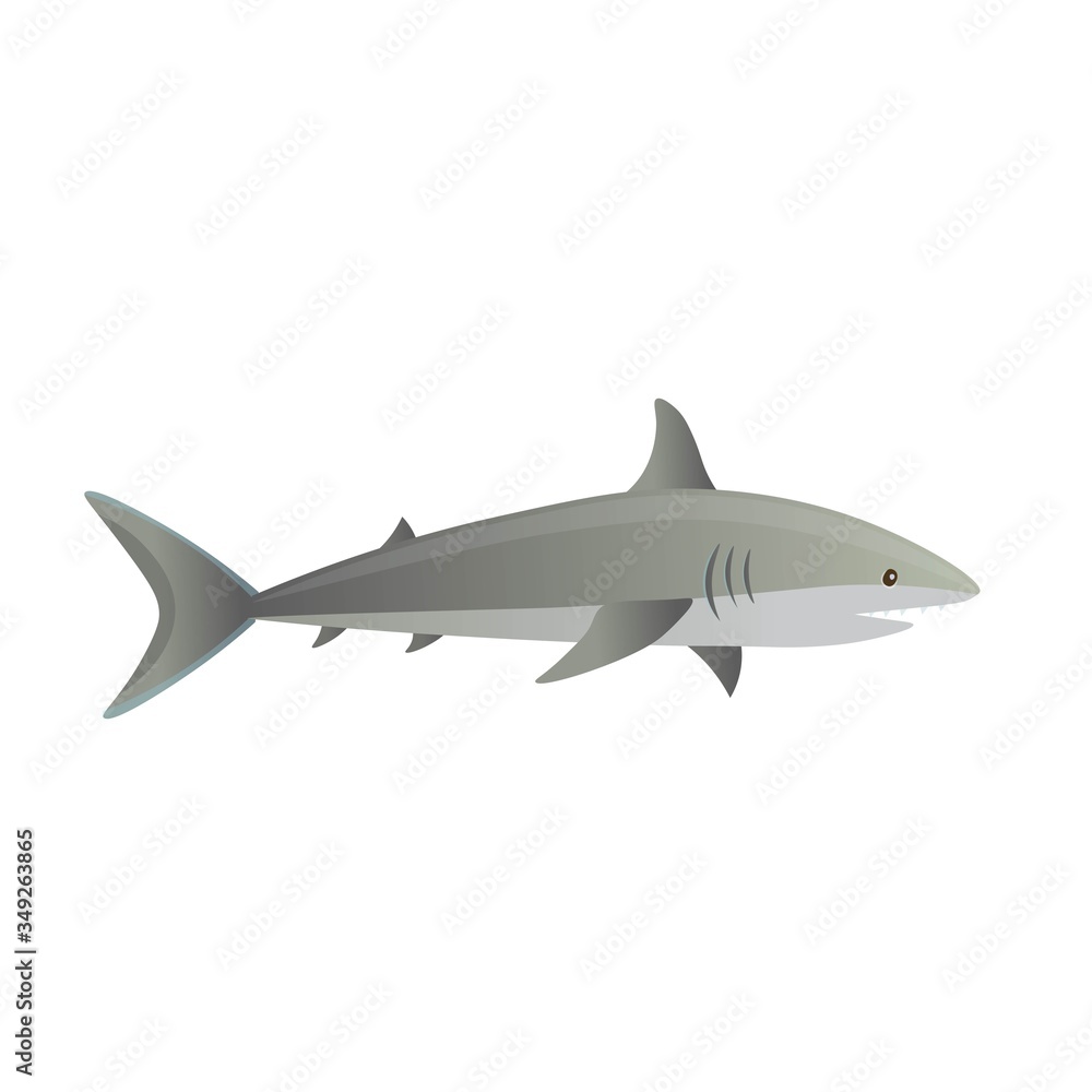 Fototapeta premium Cartoon shark on a white background. Vector illustration