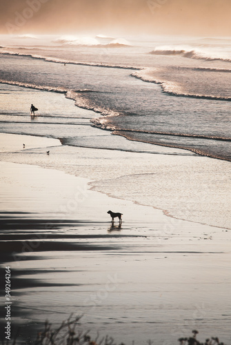 Silhouettes of dog and surfer with reflections, on the beach with breaking waves, at sunset. Woolacombe, Devon, UK