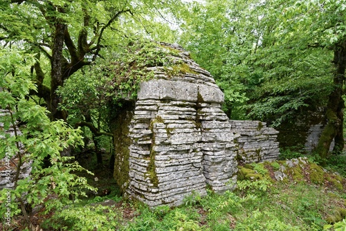 Griechenland - Steinwald nahe dem Aussichtspunkt Oxia bei Monodendri im Pindos-Gebirge photo