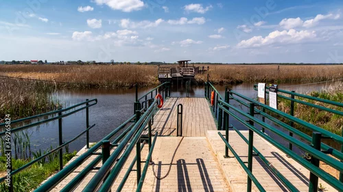 Obraz Rzeka Narew. Kładka przez Dolinę Narwi. Polska Amazonia, Podlasie, Polska