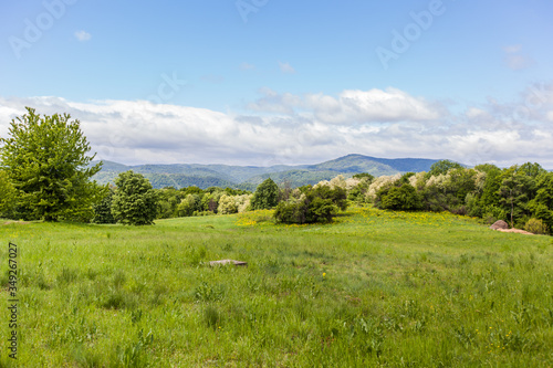 Spring beautiful nature green landscape