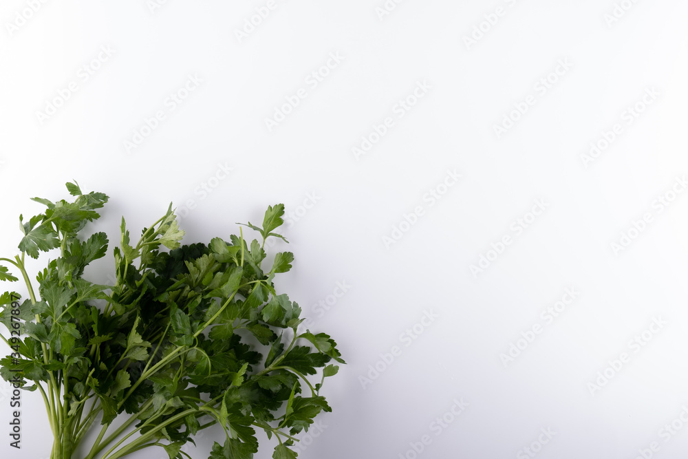 fresh bunch of parsley closeup on a white background fresh bunch of parsley closeup on a white background