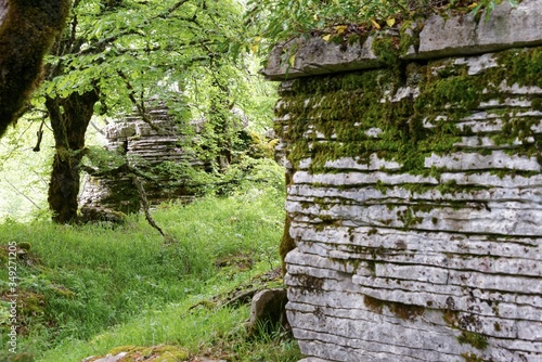 Griechenland - Steinwald nahe dem Aussichtspunkt Oxia bei Monodendri im Pindos-Gebirge photo