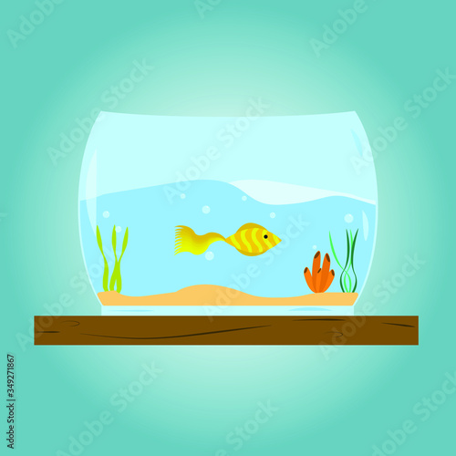 the aquarium with gold fish