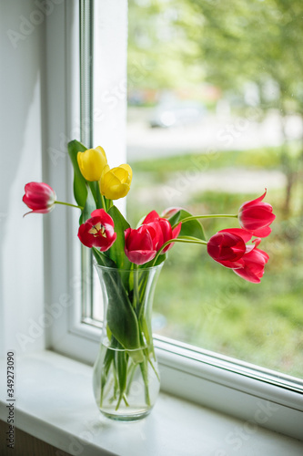 Tulips in a transparent vase. Congratulation on the holiday, postcard for registration. Spring.