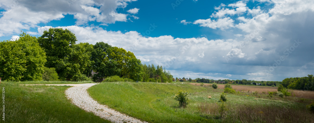 Fototapeta premium Ścieżka rowerowa obok łąki i lasu