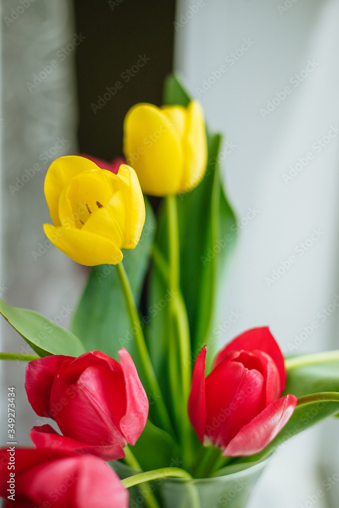 Fototapeta premium Spring tulip flowers bouquet over blue bright color background