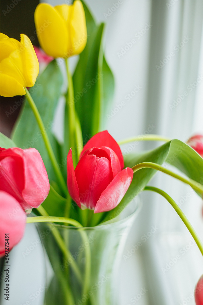 Spring tulip flowers bouquet over blue bright color background Spring tulip flowers bouquet over blue bright color background