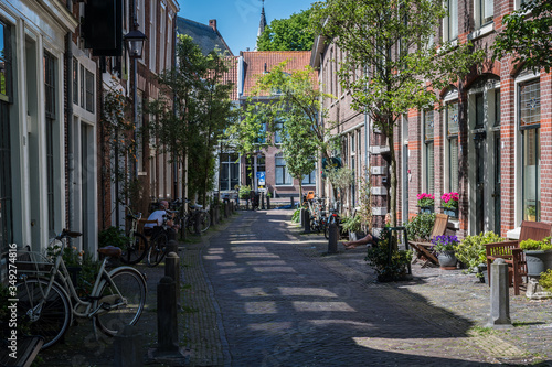 Haarlem  Netherlands - May 2017  a quiet leafy street in Haarlem