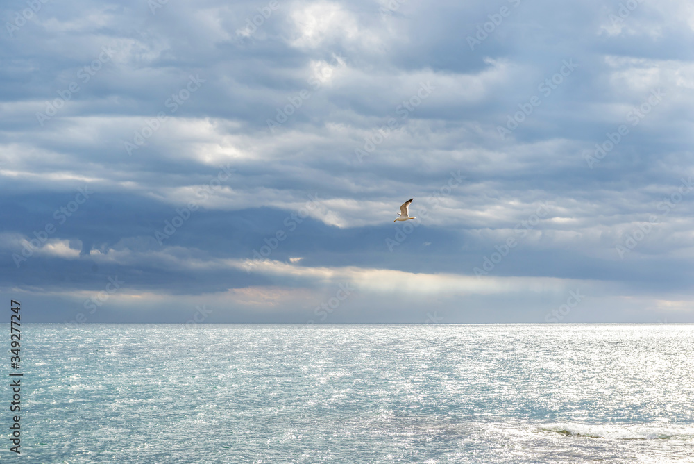 Seagulls in the sky over the sea the morning after a thunderstorm.
