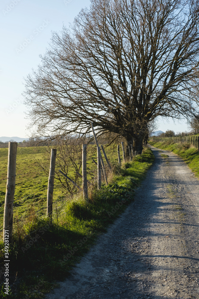 The view of a rural road at Martignano Lake, Rome The view of a rural road at Martignano Lake, Rome