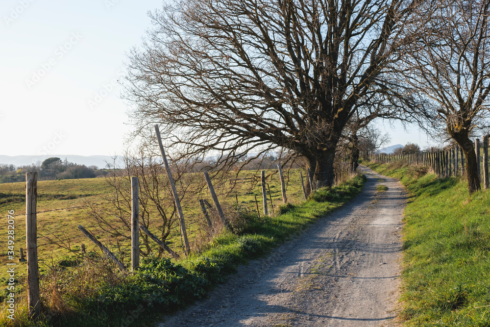 A road in italy's countryside, Martignano lake, Italy A road in italy's countryside, Martignano lake, Italy