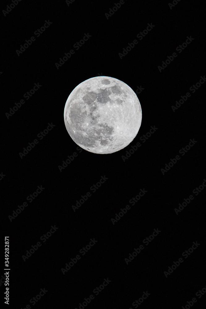 Naklejka premium Full Moon in Night Sky