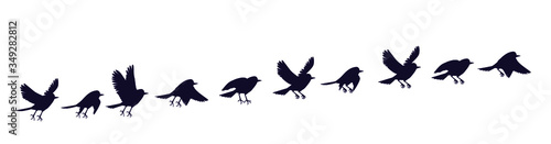 A set of silhouettes of a flying city bird. Full cycle animation of a pigeon or sparrow. Sprites for motion design.