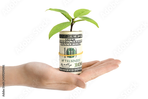 money with a plant in hand on a white background