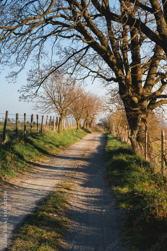 Rural road near Martignano lake, Rome, Italy Rural road near Martignano lake, Rome, Italy