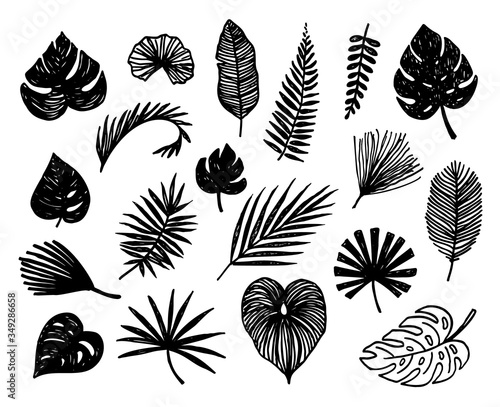 Hand drawn tropical leaves silhouette vector set