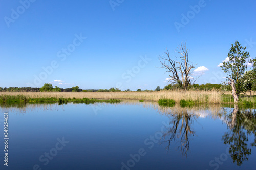 View of a peaceful river landscape. Everything is reflected in the calm water.
