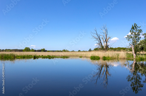 Obraz na płótnie View of a peaceful river landscape. Everything is reflected in the calm water. w salonie