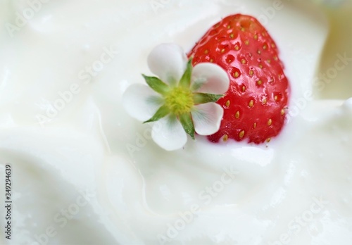 Fresh strawberry in white cream yogurt