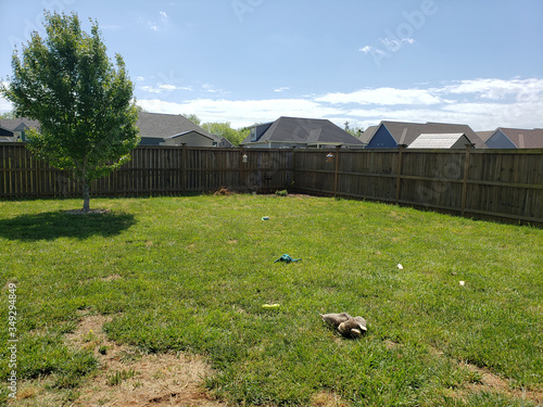 Back Yard with Dog Toy and Bone Mess