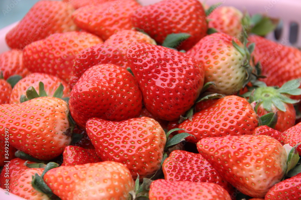 Closeup of a pile of ripe organic strawberries in a plate