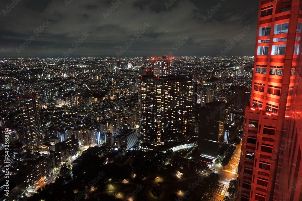 Obraz premium 東京の夜景2