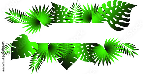 Frame of palm leaves, tropical hawaii jungle on the background. Vector illustration