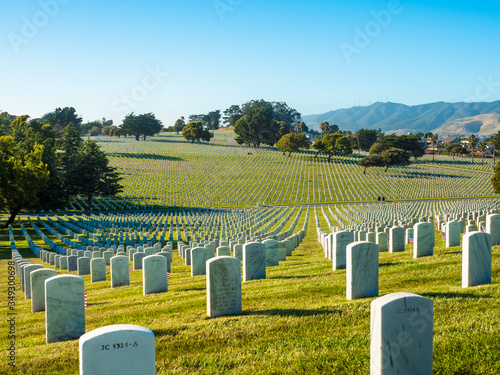 american veteran cemetery in the summer
