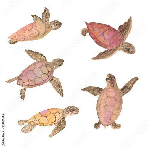 Watercolor painting set of sea baby turtles
