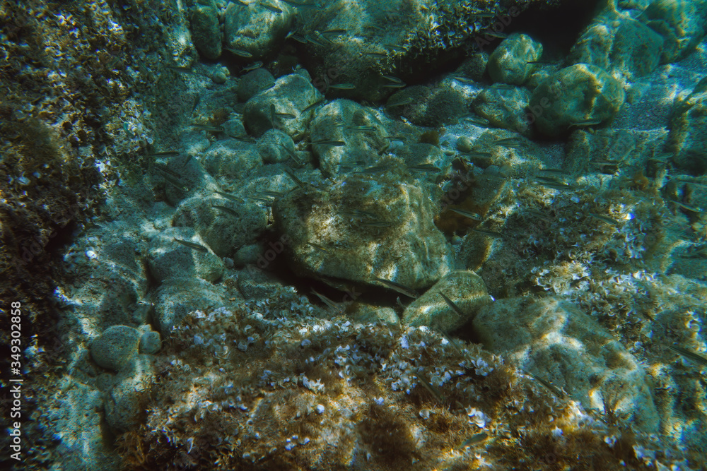 Fototapeta premium Underwater view of the Ieranto beach, in the southern Italy, Sorrento. The shot is takend during a sunny summer day, with rays of light coming inside the water. Amalfitana, Npoli coast