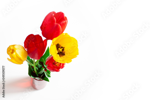 Bouquet of red and yellow tulips in a glass red vase on a white. Banner for congratulations, flower shop, website