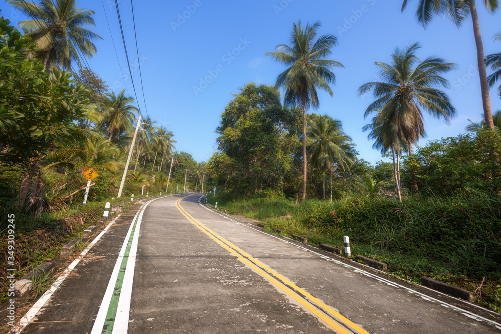 .empty winding road in jungle between Coconut palms in tropical island Ko Pha Ngan to Haad Sadet Beach