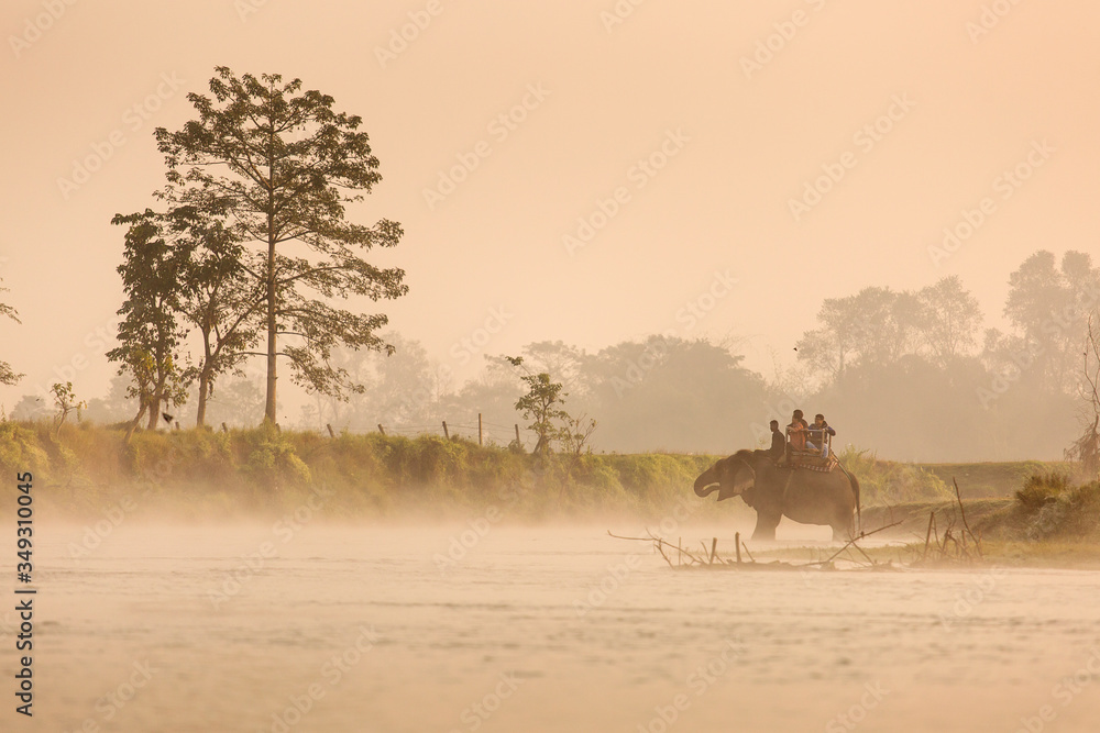 Chitwan National Park, Nepal - November 21, 2017. Tourists on elephants having a safari journey in the morning. Crossing the river with fog.
