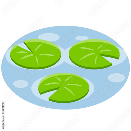 Nenuphars. Water lily. Plant on blue lake and pond. Large green leaf. Element of nature, forest and wild life. Cartoon flat illustration