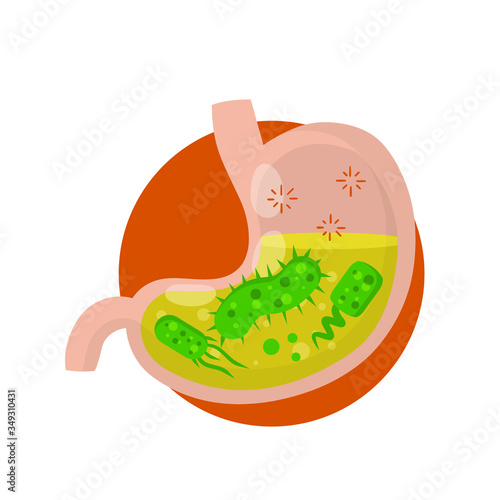 Human stomach. Virus and bacteria inside the body. Green micro-organism. Disease and illness. Dysentery and medical care. Digestive problems. Flat icon