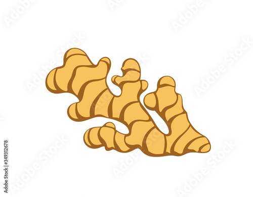 Ginger logo. Isolated ginger on white background