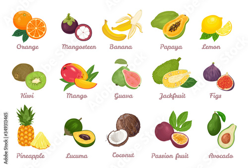 Tropical fruits set. Orange, Mangosteen, Banana, Papaya, Lemon, Kiwi, Mango, Guava, Jackfruit, Fig, Pineapple, Lucuma, Coconut, Passion fruit, Avocado isolated on white. Vector cartoon illustration.