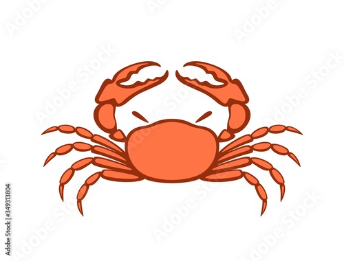 Crab logo. Isolated crab on white background