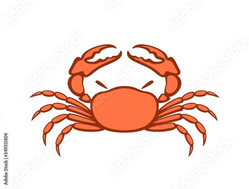 Crab logo. Isolated crab on white background