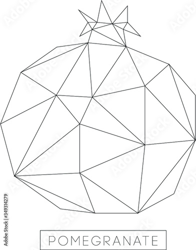 Vector illustration of a pomegranate in the style of low poly. Black and white image of a fruit in polygonal style
