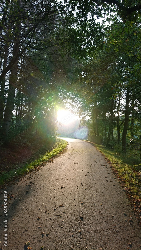 Fototapeta premium Natur