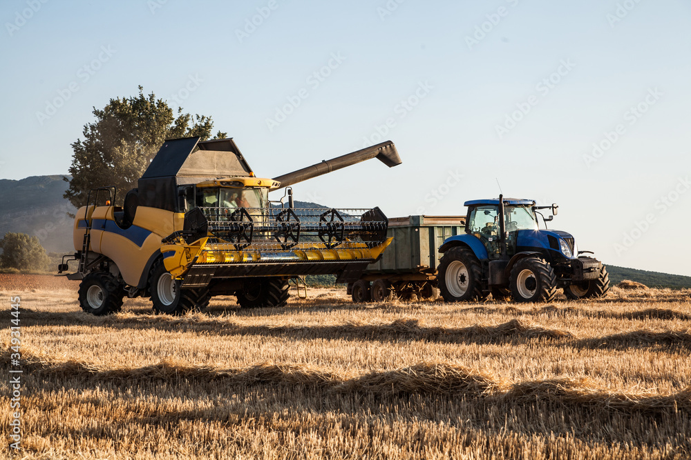 yellow harvesting machine, collecting the harvest from a wheat field at sunset on a summer day. unloading on a trailer and tractor yellow harvesting machine, collecting the harvest from a wheat field at sunset on a summer day. unloading on a trailer and tractor