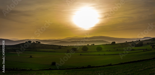 sunset on green meadows, lightening zebra in the orange sky